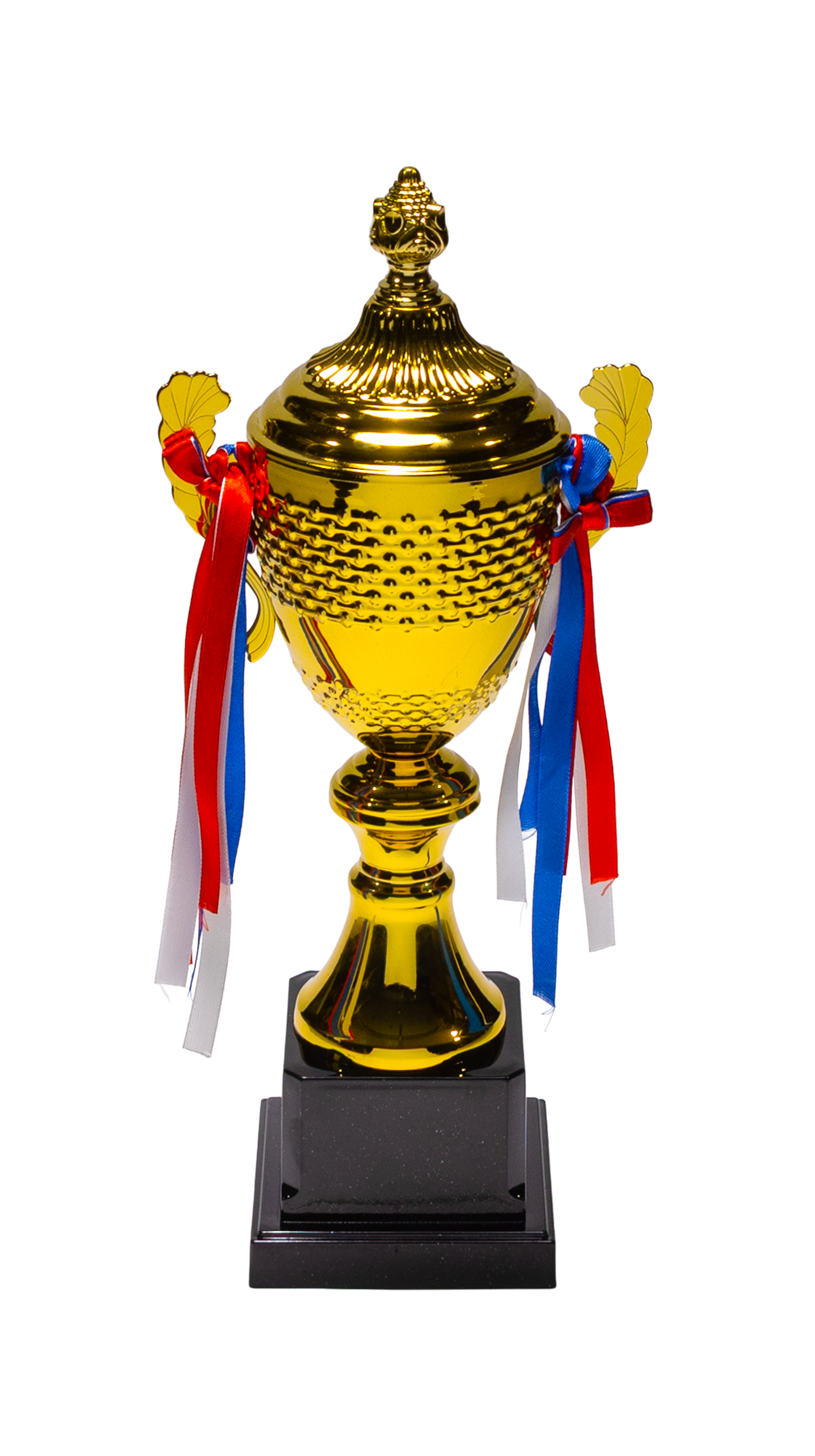 Ribbon Trophy - CR5_8367
