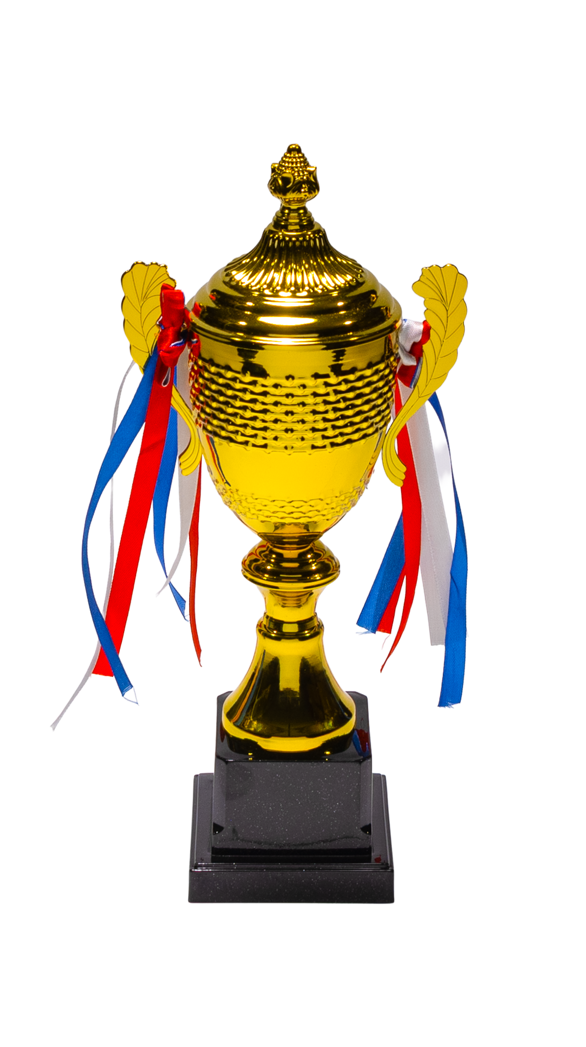 Ribbon Trophy - CR5_8376