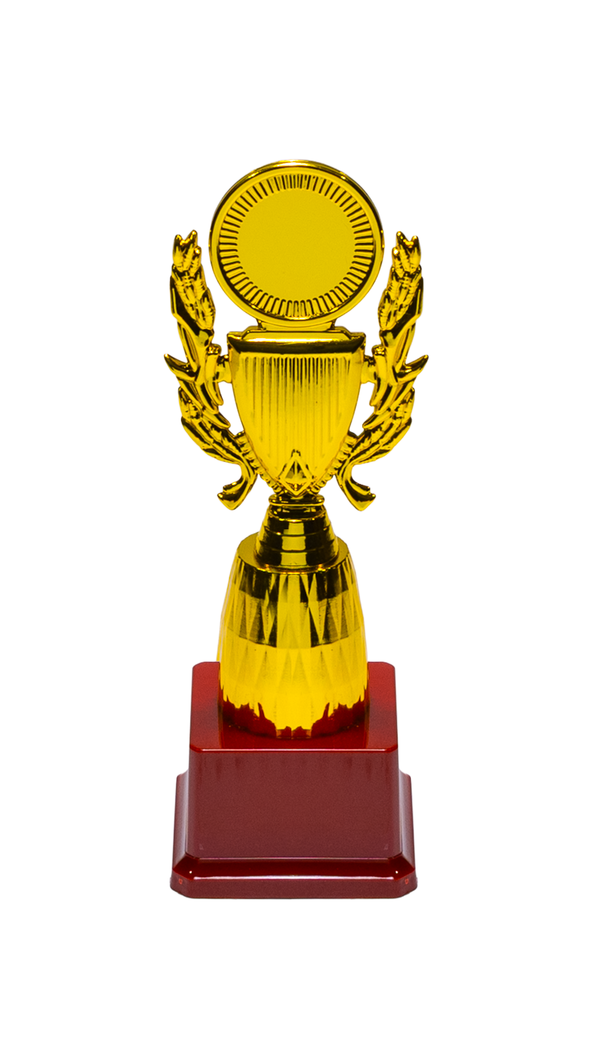 Ribbon Trophy - CR5_8398