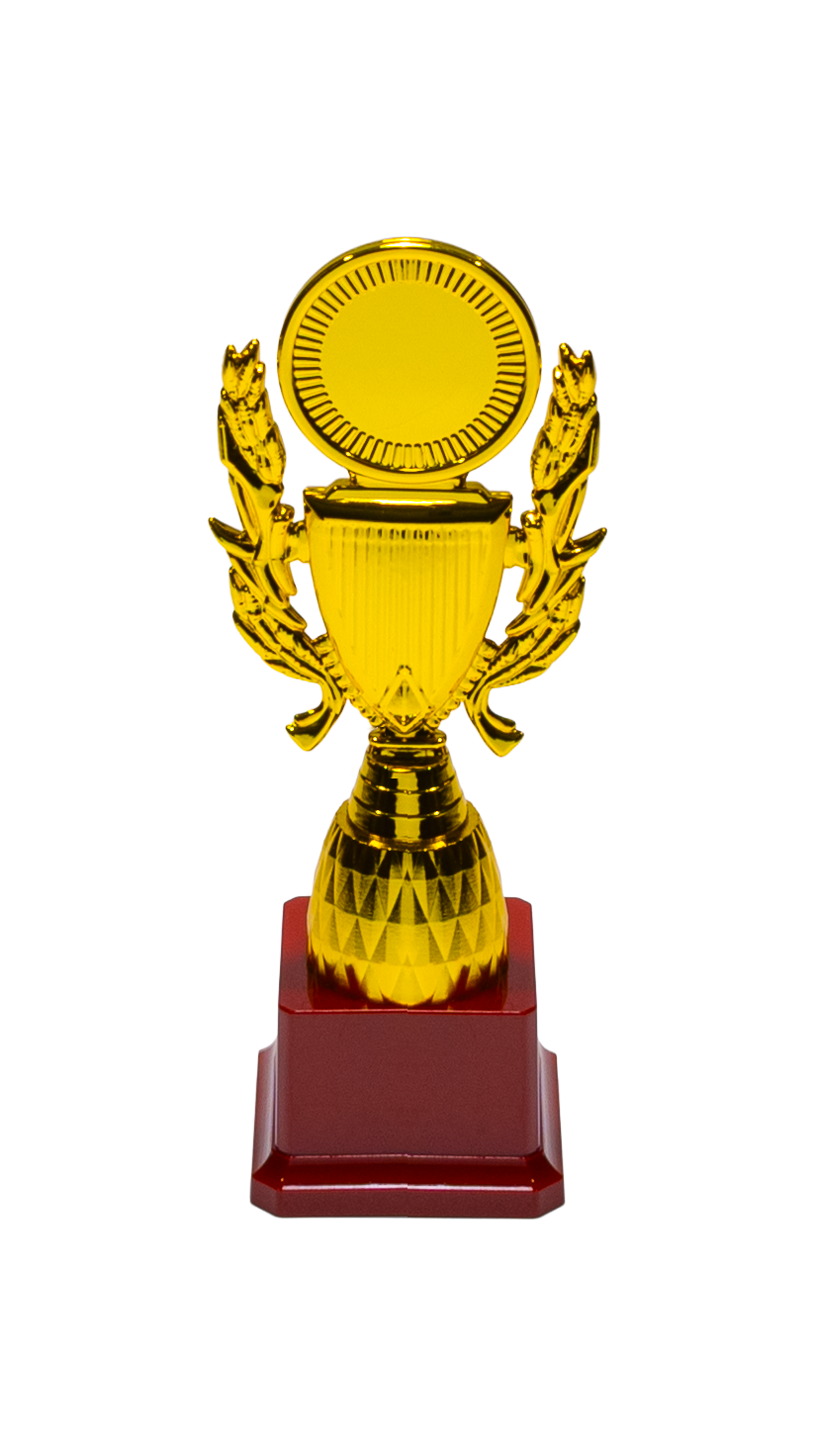 Ribbon Trophy - CR5_8400